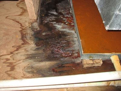 About water damage restoration service - burst pipe water damage experts in Newark
